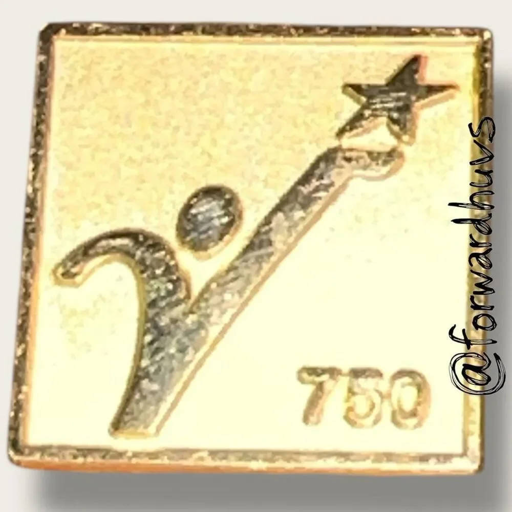 750 Hour Volunteer Service Pin – VA Recognition
